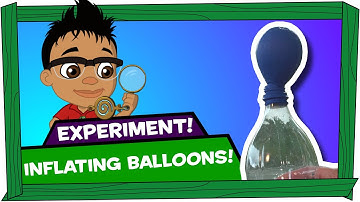 Kid Experiments: Inflating Balloons - Darwin and Newts