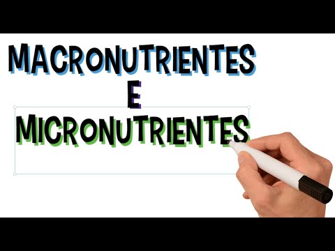 O Que São Macronutrientes e Micronutrientes, Para Que Servem | Funções | Diferenças | Resumo