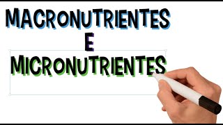 O Que São Macronutrientes e Micronutrientes, Para Que Servem | Funções | Diferenças | Resumo