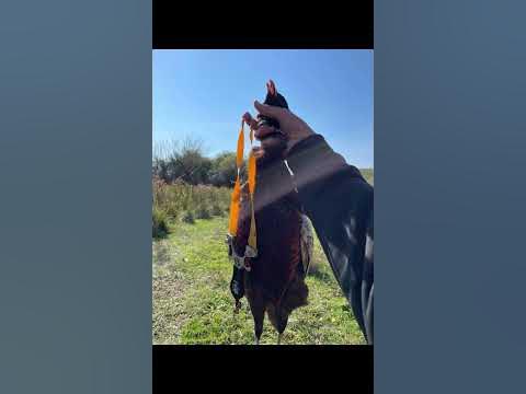 рогатки на заказ ,охота с рогаткой - YouTube