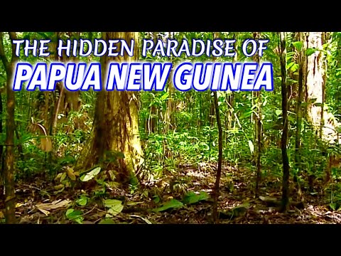 Video: 6 Budget-Reisetipps Für Papua-Neuguinea - Matador Network