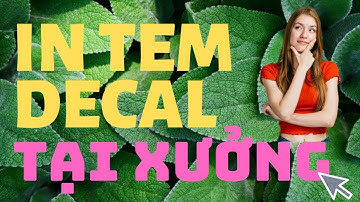 Dịch Vụ in ấn tem decal dán cuộn Việt Nam