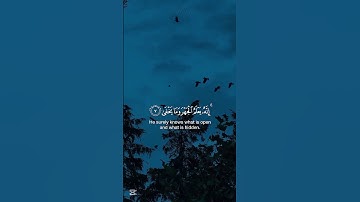 تلاوة هادئة { سبح اسم ربك الأعلى } القارئ ماهر المعيقلي