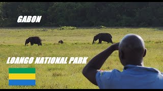 Gabon - Loango National Park