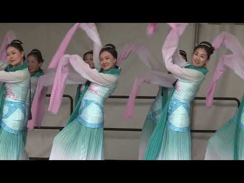 2026 PCCF 26 舞蹈《采薇》Chinese Traditional Dance《Caiwei》
