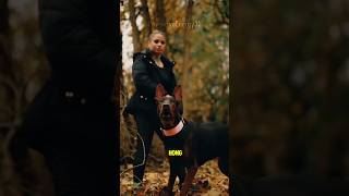 The Chinese Red Dog The Rarest Guard Dog In The World