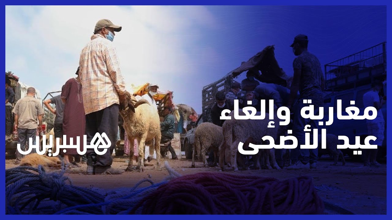 مع أو ضد إلغاء عيد الأضحى هذه السنة .. تعرف على أجوبة الشارع المغربي