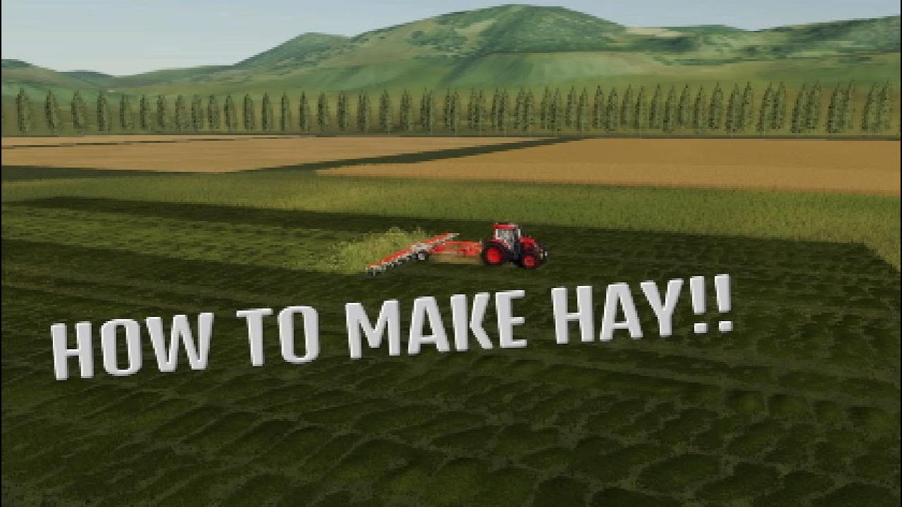 How To Make Hay In Farming Simulator 19 Also How To Grow And Mow Grass