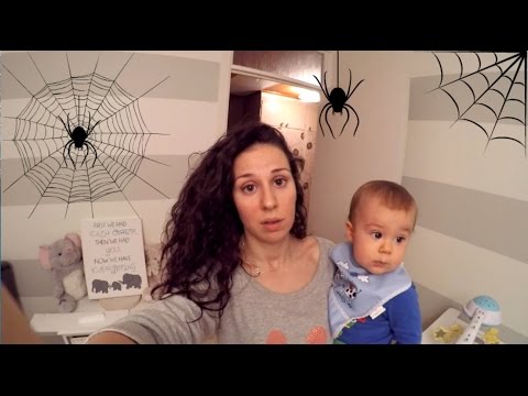 Видео: Къде живеят избените паяци?