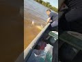 Paty gigante sacado en el Río Paraná