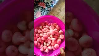 chabaka juce👌😋#youtube # short video