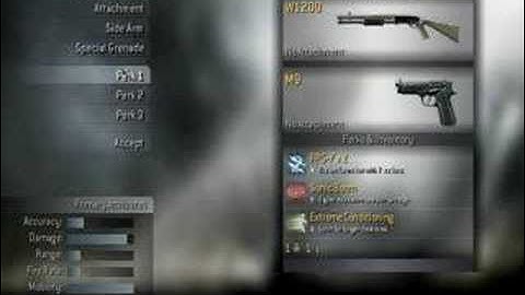 CoD4: Kate Beckinsale ACOG & Alizee Reflex