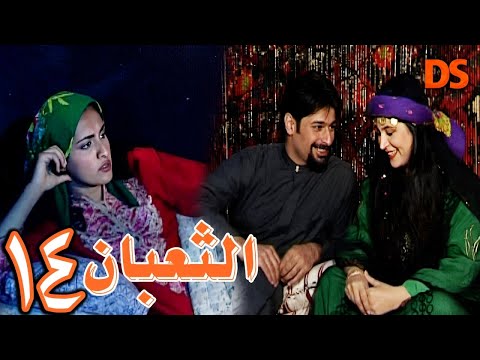 The Rare Syrian Bedouin Series The Snake Episode 14