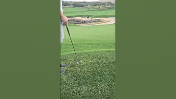 Scotty Cameron Putter: ALICE BALL!!!