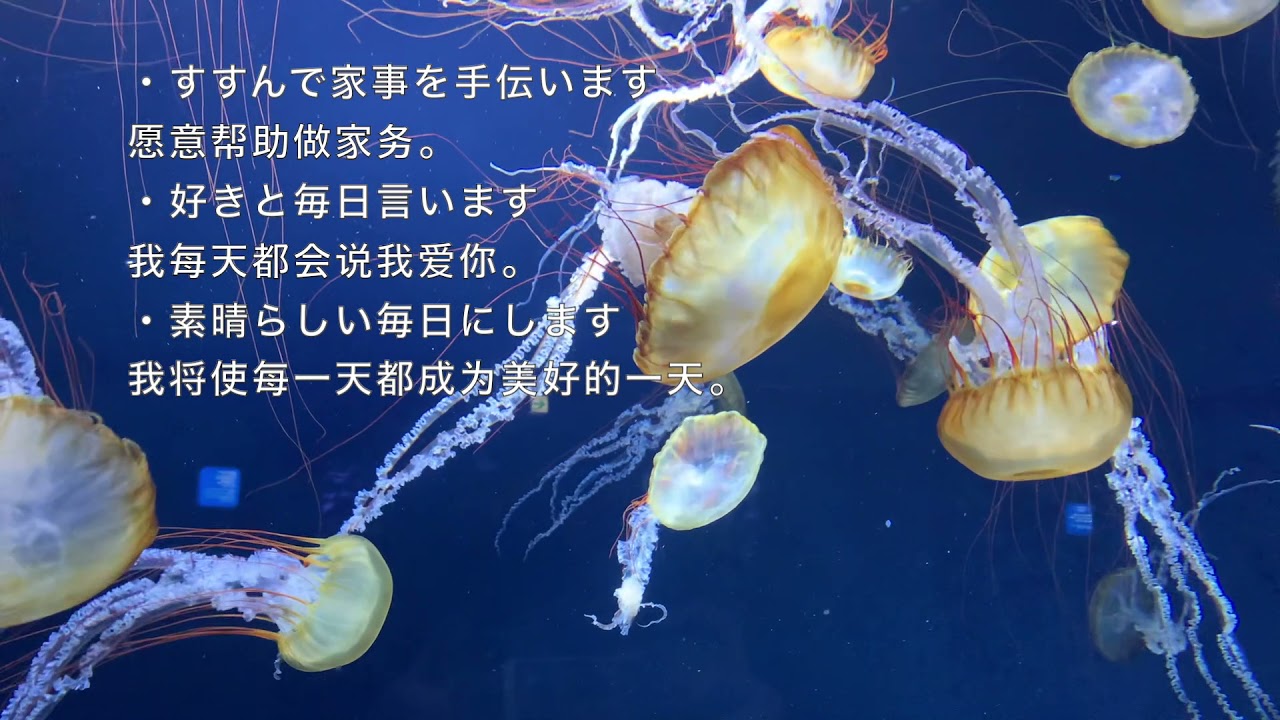 感謝の誓い あいうえお作文 さ行 Youtube