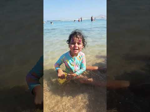 اسكت يسطى  كامري اكسبلور محركات  كوميديات