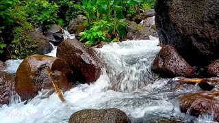 Fall asleep easily in 3 minutes with the sound of the river flowing under the cool waterfall