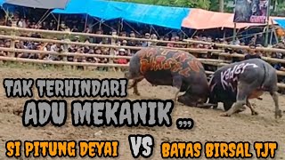 SI PITUNG DEYAI GRUP VS BATAS BIRSAL TJT Menyerang Tak Terkendali Arena Sirisan 