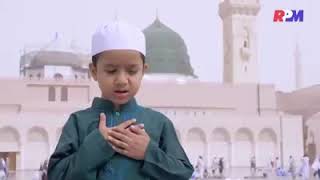 Lakanabainanal habib ala hadi assegaf