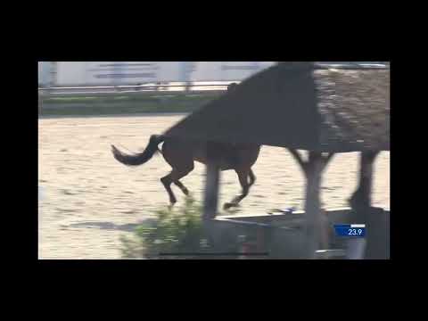 Pixel van’t Veer 140 CSI2** Lier