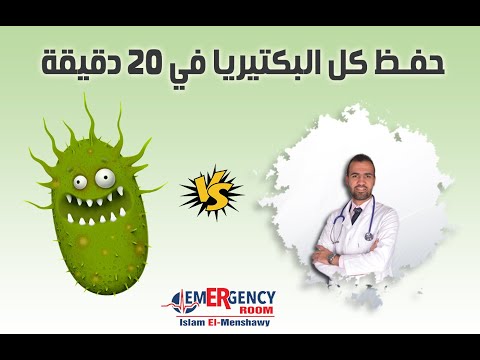 Classification of Bacteria -   فهم كل البكتيريا في 20 دقيقة