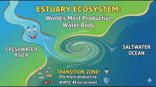 Estuaries: Hidden Powerhouse II Estuarine Ecosystem II Tutorials II Ecology II UPSC 2026 II IAS