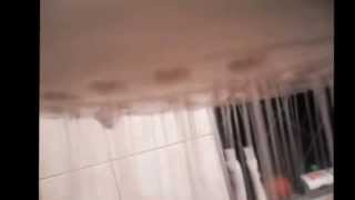 Gostosa Tomando Banho