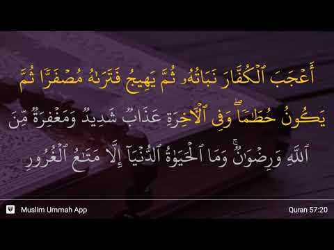 Al Hadid Ayat 20 