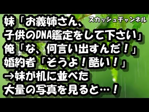 妹「お義姉さん、子供のDNA鑑定をして下さい」俺「な、何言い出すんだ！」婚約者「そうよ！酷い！」→妹が机に並べた大量の写真を見ると…！ 【スカッと】