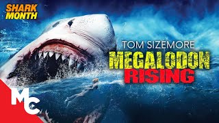The Megalodon Awakens