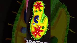 3D model of protozoa ll making protozoa with thermocol #trending #thermocolcraftideas