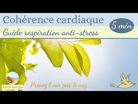 Cohérence cardiaque - exercice de respiration anti stress 5 min - guide facile chant des oiseaux
