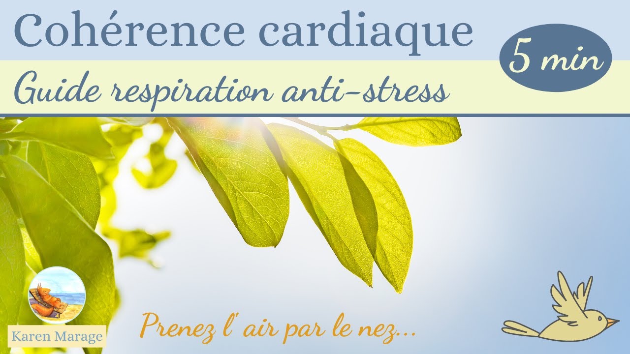 Cohérence cardiaque - exercice de respiration anti stress 5 min - guide facile chant des oiseaux