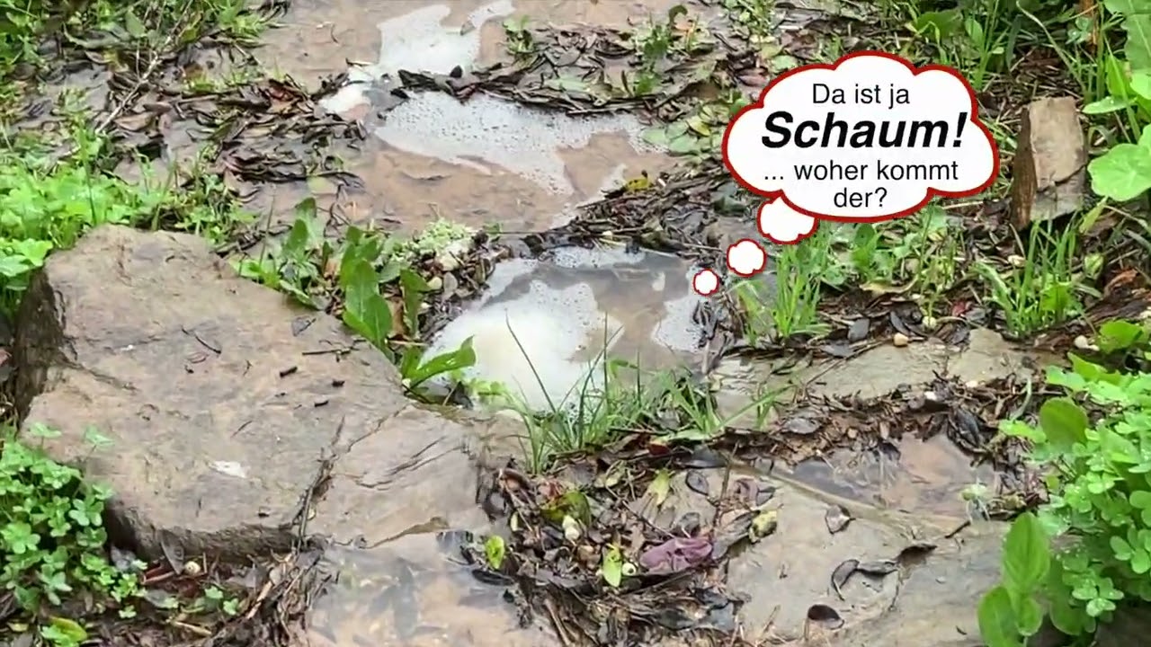 Regenzeit im Alentejo: Was das Bächlein erzählt