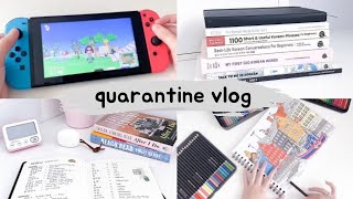 Hobbies I Picked Up During Quarantine Vlog