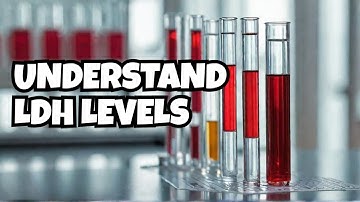 LDH Blood Test Explained | What High Lactate Dehydrogenase Levels Really Mean