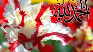 QURAN Karim Surati Maryam Muhammad Siddiq Minshawi(Tajweed)