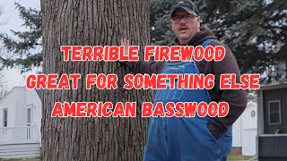 The American Basswood, low heat output but great for wood carving  Wood Wednesday by Timber Visions 182 views 3 months ago 4 minutes, 54 seconds