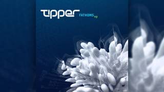 Tipper - Ambergris