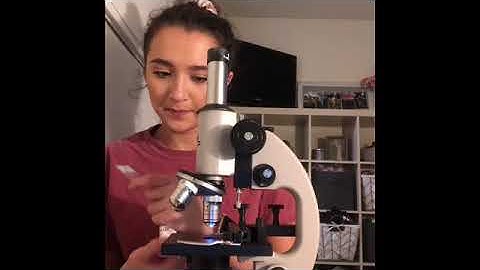 Lab Exercise | Microscopy for Microbiology: Use and Function - Part 1: Video Demonstration