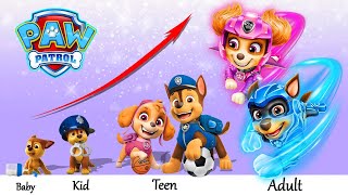 Evolution Of Paw Patrol From Childhood Favorites To Adult Perspectives Adn World