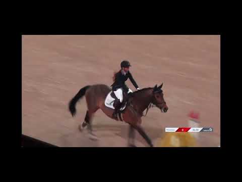 Belgian Stallion Competition 5yo Azelhof Belgian Stallion Competition 5yo Azelhof