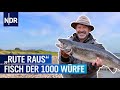 Hiddensee und der Fisch der 1.000 Würfe | Rute raus, der Spaß beginnt! | NDR