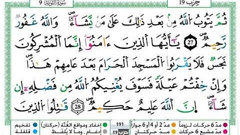 سورة التوبة  / عمر القزابري  ( مكتوبة )