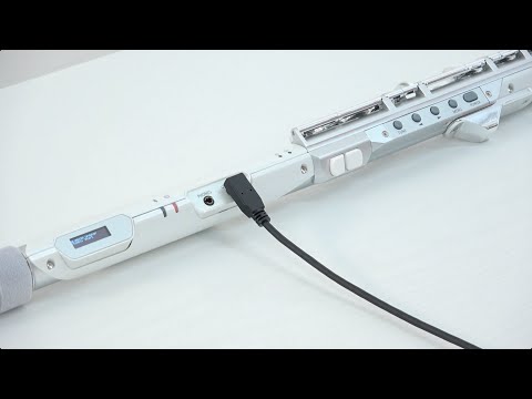 “Checking and updating the version” Roland Aerophone Brisa #11