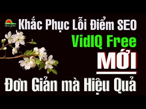 VidIQ hiển thị sai Điểm SEO Hướng Dẫn Chi Tiết Cách Khắc Phục