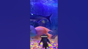 How Covert Narcissists Diminish Their Partner #narcissist