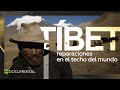 Tíbet: reparaciones en el techo del mundo - Documental de RT