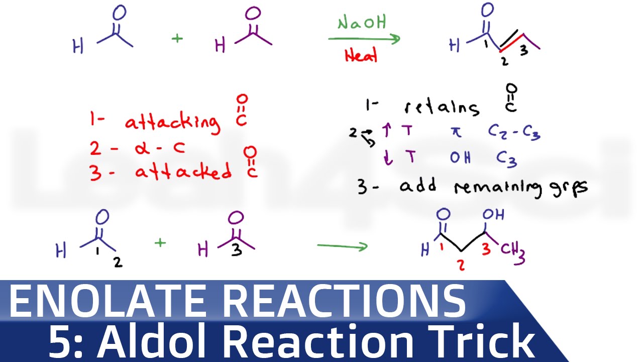 Chemical Reaction Calculator That Predicts The Products