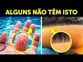 Mais De 60 Fatos Sobre O Corpo Humano Para Aprimorar Suas Aulas De Biologia